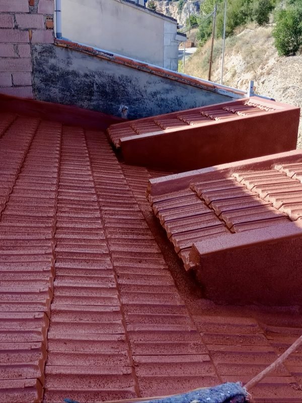 480977481_1040331058122665_7355138356660836133_n